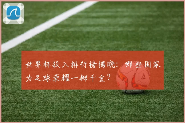 世界杯投入排行榜揭晓：哪些国家为足球荣耀一掷千金？