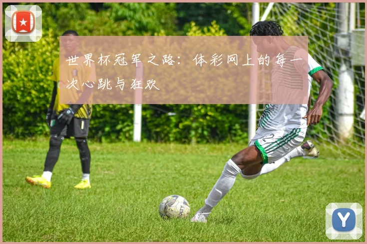 世界杯冠军之路:体彩网上的每一次心跳与狂欢