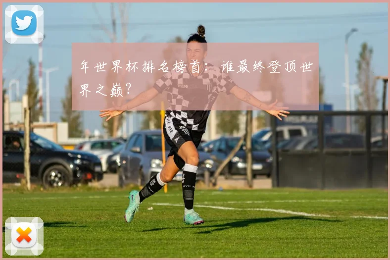 年世界杯排名榜首：谁最终登顶世界之巅？