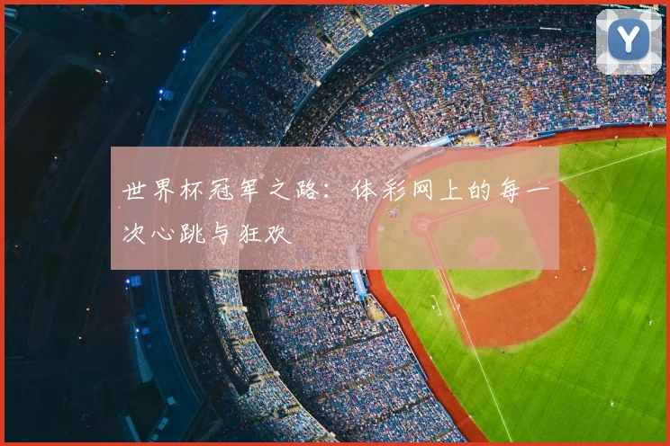 世界杯冠军之路:体彩网上的每一次心跳与狂欢