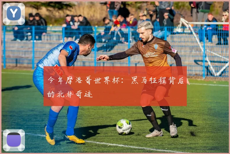 今年摩洛哥世界杯:黑马征程背后的北非奇迹